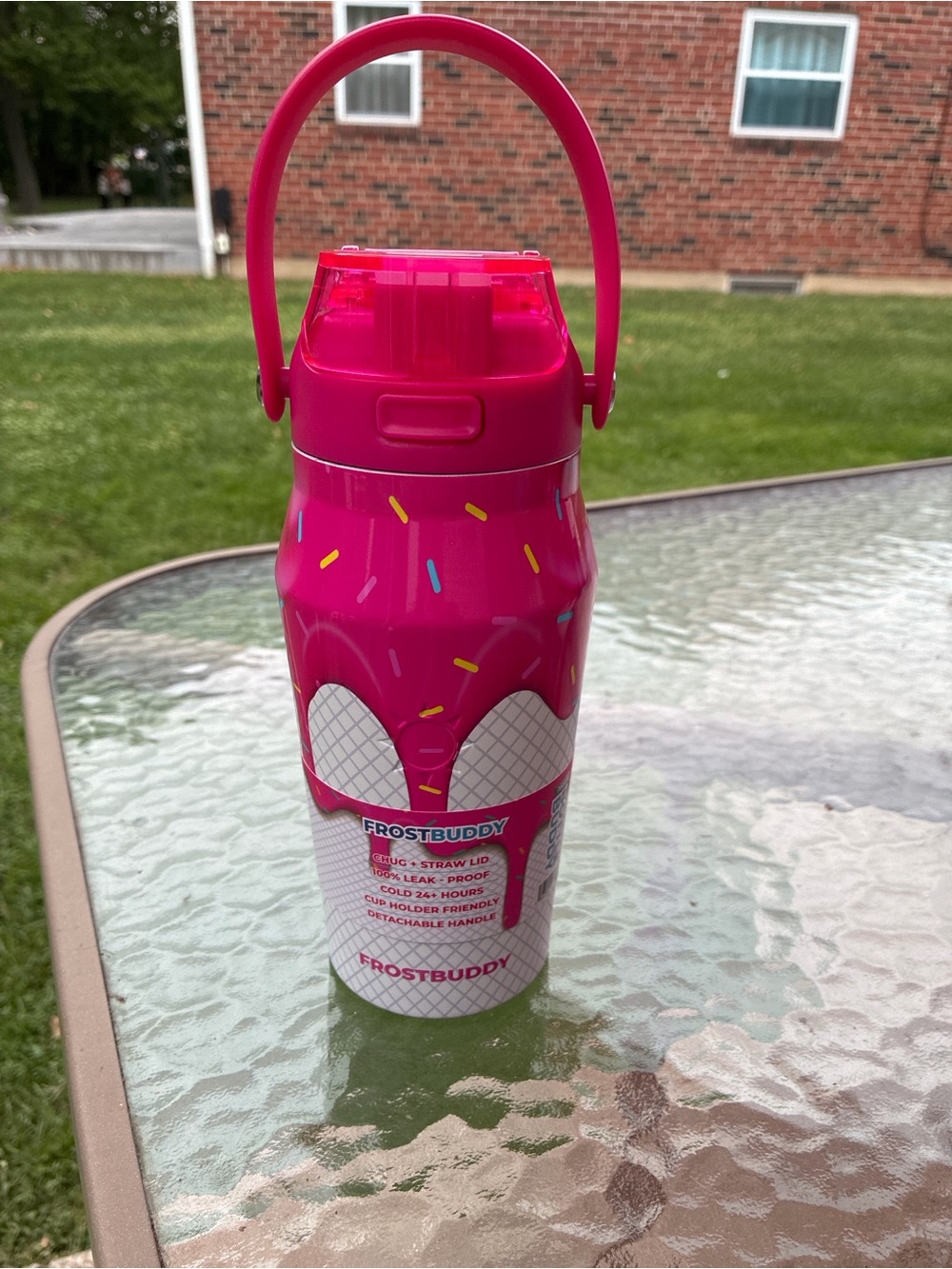Frostbuddy Pink Insulated Kids Water Bottle with Handle 16oz